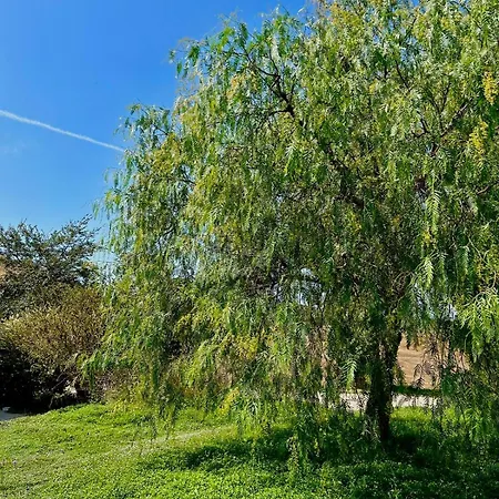 Podere Farnesiana 度假村 3*